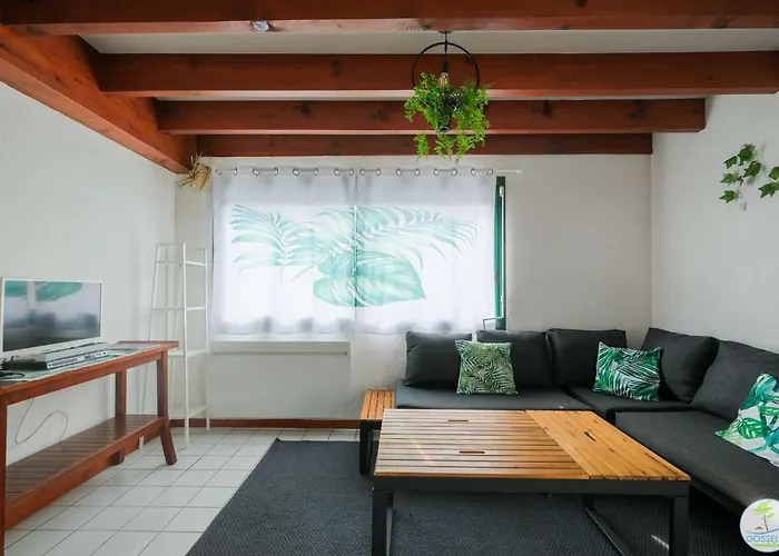 Bourg Avec Terrasse Classe 1 Etoile Pour 4 Personnes * Biscarrosse