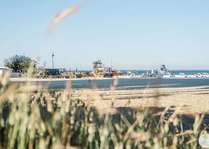 Daire Bourg Avec Terrasse Classe 1 Etoile Pour 4 Personnes