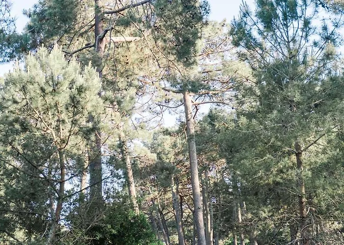 Bourg Avec Terrasse Classe 1 Etoile Pour 4 Personnes